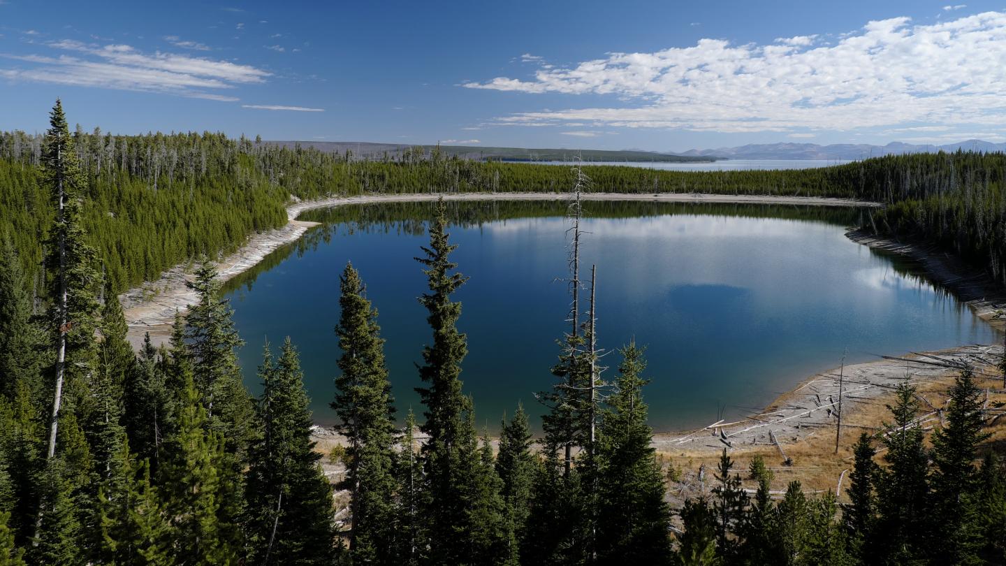 The iconic landscape of Yellowstone National Park is characterized by vast forests that have been untouched by man but are threatened by increasing numbers of forest fires due to climate change.  CREDIT R. Seidl / TUM