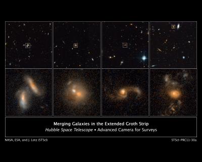 These images from NASA's Hubble Space Telescope's ACS in 2004 and 2005 show four examples of interacting galaxies far away from Earth. The galaxies, beginning at far left, are shown at various stages of the merger process. The top row displays merging galaxies found in different regions of a large survey known as the AEGIS. More detailed views are in the bottom row of images.  Credit: NASA; ESA; J. Lotz, STScI; M. Davis, University of California, Berkeley; and A. Koekemoer, STScI