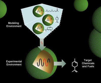 JBEI researchers have developed CAD-type tools for engineering RNA components that hold enormous potential for microbial-based production of advanced biofuels and other goods now derived from petrochemicals.  Credit: Image by Zosia Rostomian, Berkeley Lab