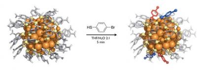 This is a visualization of the atomic structure of the Au102(p-MBA)44 particle (left) and the partially ligand-exchanged Au102(p-MBA)40(p-BBT)4 (right). The exchanged ligand bromo benzene thiol (p-BBT) is schematically shown in the middle and the observed ligand exchange sites by red and blue on the right.