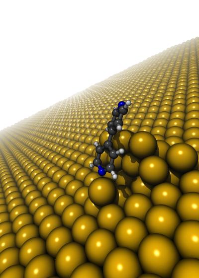 This is a model structure illustrating the bonding of bipyridine to the rough gold surface through direct nitrogen-gold chemical bonding and indirect van der Waals bonding.  Credit: Columbia Engineering