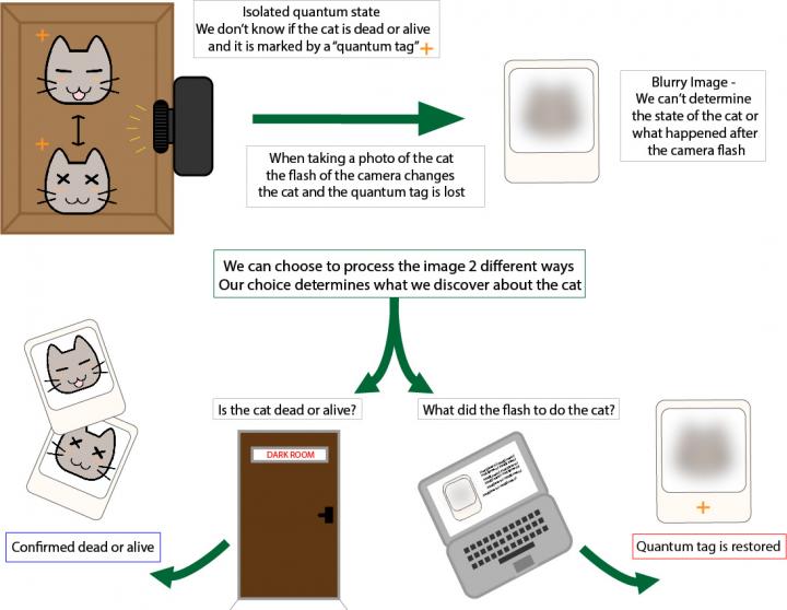 CAPTION Since the cat in the box (top left) is in a superposition that means it can be in numerous different states (e.g. dead and/or alive) and is marked with a quantum tag. The photo taken of the cat is entangled with the situation inside of the box. We can decide the fate of the cat by processing the photo in a certain way (bottom left), or we can keep it in superposition by restoring the quantum tag using a different process (bottom right). CREDIT Associate Professor Holger F. Hofmann and Emma Buchet/Hiroshima University