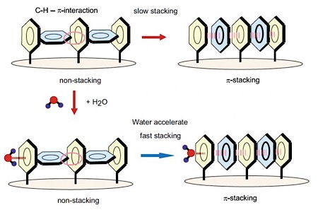 CAPTION When light is applied to the T-shaped benzene cluster in their computer simulation, they reorganized themselves into a single stack, changing its electrical conductivity. The addition of a molecule of water made the stacking occur significantly faster. CREDIT Tachikawa H., et al. Scientific Reports, Feb. 20, 2019