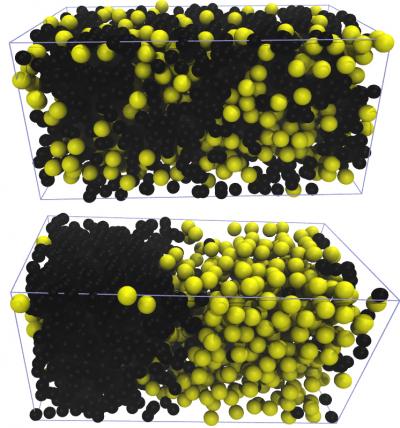 Snapshots from a molecular dynamics simulation with 547 colloids and 1,781 polymers in an elongated simulation box. The upper image shows an equilibrium configuration of the passive system which did not phase-separate. The lower image is the corresponding active system in its steady state which is clearly phase-separated. In both pictures, colloids are shown in yellow and polymers in black.  Credit: ill./©: Peter Virnau, JGU