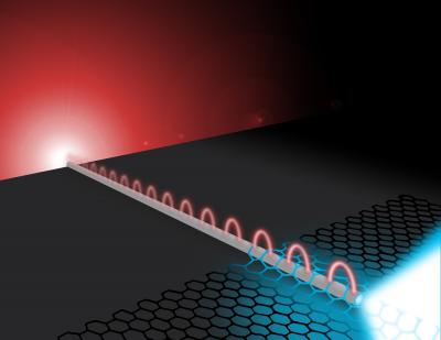 Far-field photons excite silver nanowire plasmons. The wire plasmons propagate to the wire's distal end where they efficiently interact with the two-dimensional material semiconductor molybdenum disulfide (MoS2). The plasmons are absorbed in the MoS2 creating excitons that subsequently decay converting back into propagating photons.  Credit: Illustration by Michael Osadciw, Creative Services, University of Rochester