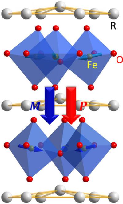 The arrows on the Fe sites indicate the atomic magnetic moments. The coexisting spontaneous electric polarization (P) and magnetic polarization (M) are both along the same crystal direction.