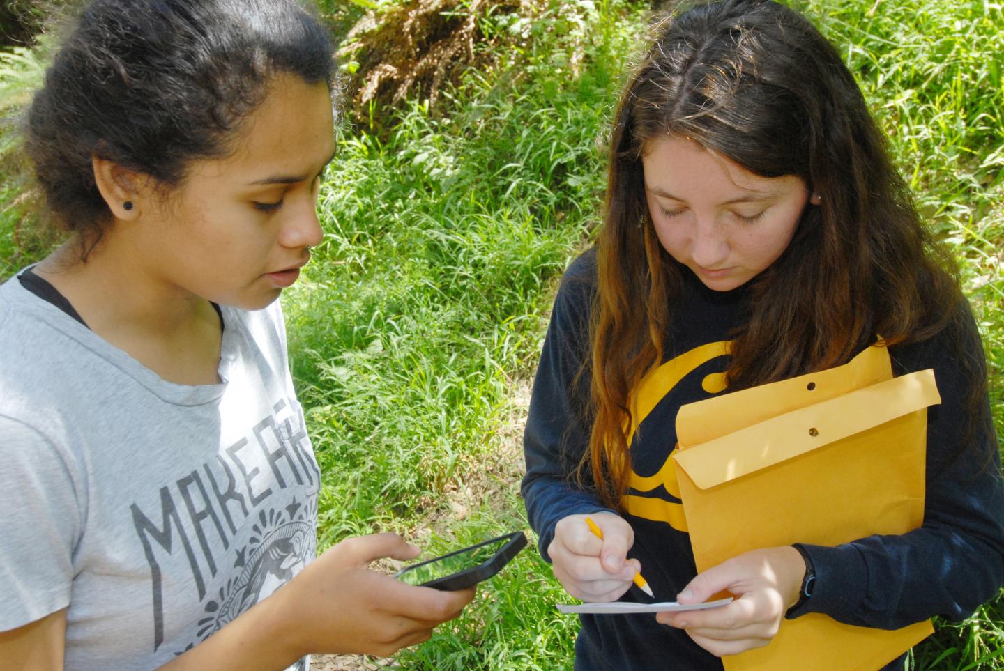 CAPTION Young citizen scientists locate and collect leaves with symptoms of sudden oak death, using the SODmap mobile application. More than 1,600 trained volunteers, from high school students to firefighters, have helped track the disease in California over a six-year period. CREDIT Photo by Douglas Schmidt, UC Berkeley