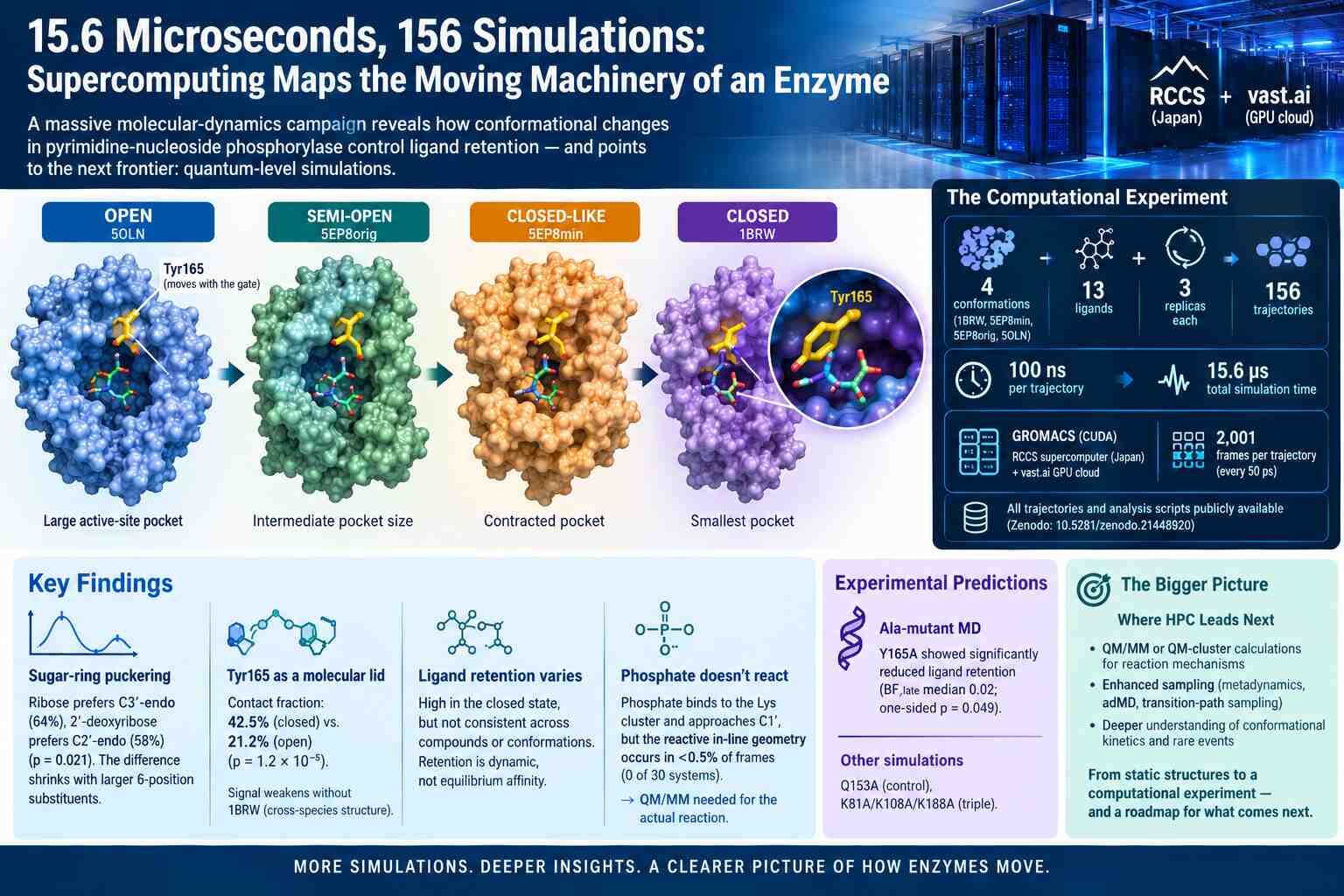 15.6 Microseconds, 156 simulations: Supercomputing maps the moving machinery of an enzyme