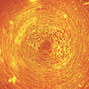 A large vortex was formed under radial strain on the substrate. (Daisuke I. et al., ACS Nano. October 4, 2019)