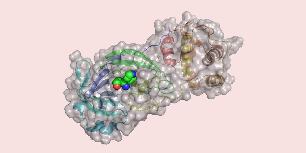 Researchers have tested more than 680 million substances on the computer to virtually test one of the virus’ important proteins, the central protease. 