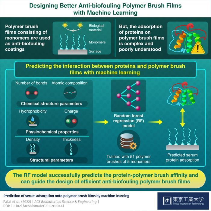 Low Res Infographic Aug 01 2022.jpg 39d4e