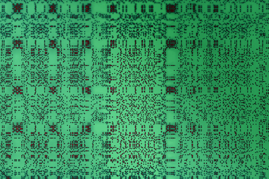 MIT researchers used a technique called dot-plot matrix, which is a way to visually represent amino acid sequences, to compare protein sequences known as “low-complexity regions” across many different species. Credits:Image: Courtesy of the researchers, and edited by MIT News.