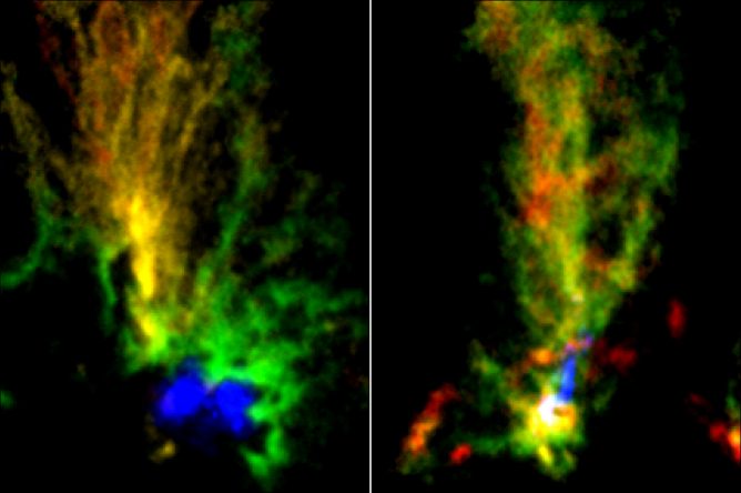 ALMA images of two molecular clouds: N159E-Papillon Nebula (left) and N159W South (right)