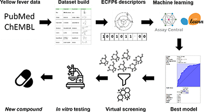 Using machine learning techniques, scientists selected the most promising virtual chemical structures from thousands of molecules, and then obtained or synthesized them before testing in vitro (in a test tube) five promising molecules that would become contenders for a future drug. All five compounds were active, but one showed the most promising activity.  CREDIT Gawriljuk et al. / J. Chem. Inf. Model., 2021