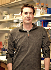 Rice University synthetic biologist Matthew Bennett and his colleagues have won a grant to advance the development of custom-designed microbial colonies for a variety of applications.