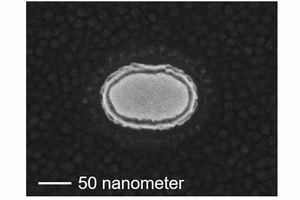 A top-view scanning electron microscopy image of a magnetic tunnel junction device. © K. Hayakawa et al.