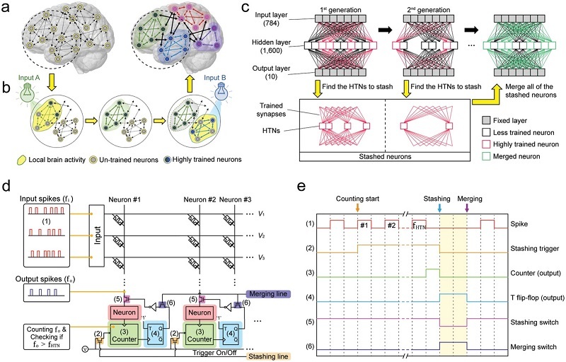 A schematic illustrating the localized brain activity (a-c) and the configuration of the hardware and software hybrid neural network (d-e) using a self-rectifying memristor array (f-g). 