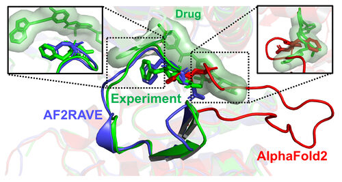 University of Maryland researchers found that AlphaFold 2 is ineffective for drug design as it clashes with a widely used cancer drug, while the AF2RAVE method aligns accurately with the drug's experimental pose.