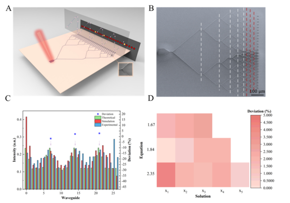 All-optical transcendental equation solver. (A) schematic diagram of the all-optical transcendental equation solver. (B) Top-view SEM image of the all-optical transcendental equation solver, where the scale bar is 100 μm. Here, the white dotted lines mark the five layers for waveform discretization, and the red dotted lines separate the three layers of the optical CNN structure. (C) Output light intensity distribution in the output waveguides (k = 1.67). The arrows in the figure correspond to the locations of the solutions. The horizontal axis is the number of discrete waveguides, the vertical axis on the right represents the output signal intensity, and the vertical axis on the left gives the deviation between the experimental output signal and the theoretical value. (D) A graphic representation of solution deviation. The horizontal axis labels the individual solutions, and the vertical axis represents three values of the parameter k. The shade of the color indicates the magnitude of the deviation. Full size