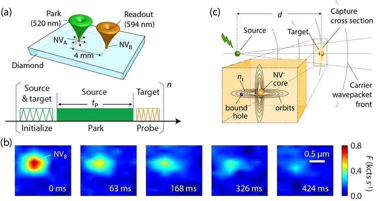 Schematic representation of a mechanism of hole capture by a charged defect where a carrier gets weakly bound and eventually captured due to Coulombic attraction. Credit: Carlos Meriles