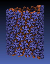 First all-atom structure of an HIV virus capsid in its tubular form.