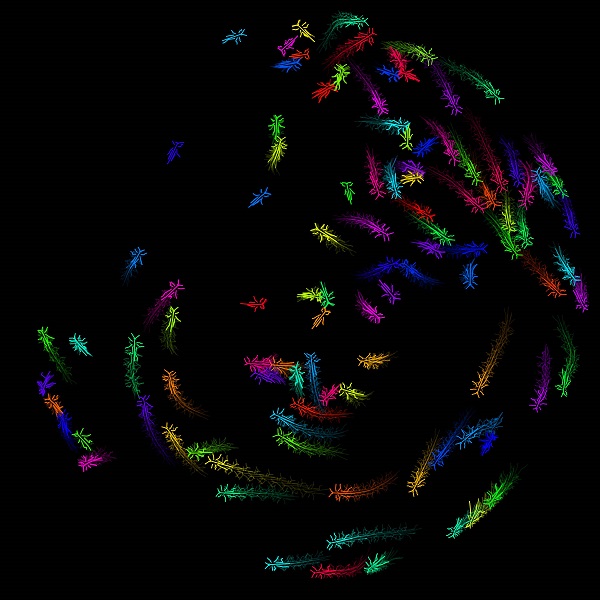 A deep learning toolkit, called DeepPoseKit, can automatically detect animal body parts directly from images or video with high speed and accuracy – without attaching physical markers. The method can be used for animals in laboratory settings (e.g. flies and locusts) or in the wild (e.g. zebras). Credit: Jake Graving