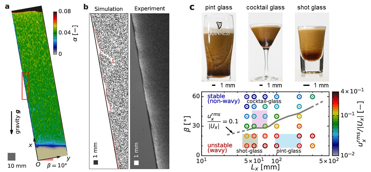 (a) Configuration and snapshot of particle concentration distribution. (b) Comparison of the distribution of simulated particles (left) and Guinness beer bubbles (right) at the midpoint. (c) Snapshots of a bubble-concentration wave forming in: a pint glass (top left), a cocktail glass (top center), and a 1-oz (30-ml) shot glass (top right). Phase diagrams of scaled velocity fluctuation (bottom). The shaded areas correspond to the typical dimensions of the glasses.