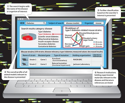 Figure 1: An integrated information view (in development) of RIKEN Integrated Database of Mammals A user types in the name of a disease or organism of interest, and the relevant information is retrieved from the major databases of the world. Data on non-mammalian organisms such as plants and microorganisms will also be integrated.