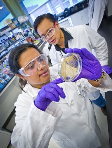 Chris Talentino, Richmond High School, lead teacher this summer for the iCLEM program, works with student Lidia Bran, also of Richmond High. At iCLEM, students and teachers do actual science in a microbiology laboratory. (Photo by Roy Kaltschmidt, Berkeley Lab)