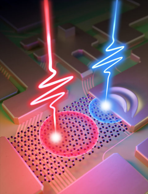 Synchronized laser pulses (red and blue) generate a burst of real and virtual charge carriers in graphene that are absorbed by gold metal to produce a net current. “We clarified the role of virtual and real charge carriers in laser-induced currents, and that opened the way to the creation of ultrafast logic gates,” says Ignacio Franco, associate professor of chemistry and physics at Rochester. (University of Rochester illustration / Michael Osadciw)