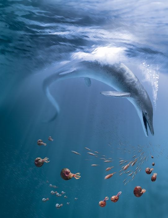 A life recreation of "C. youngorum" stalking the Nevadan oceans of the Late Triassic 246 million years ago.  CREDIT Illustration by Stephanie Abramowicz, courtesy of the Natural History Museum of Los Angeles County (NHM).