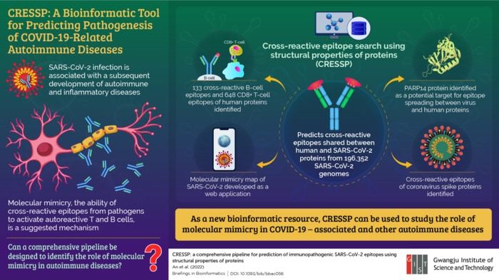 A new bioinformatics pipeline helps investigate the mechanism underlying the development of autoimmune diseases following SARS-CoV-2 infection