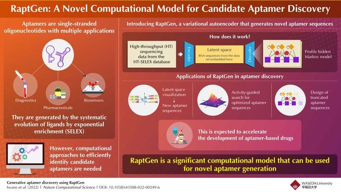 Scientists at Waseda University develop a computational model that can generate novel aptamer sequences