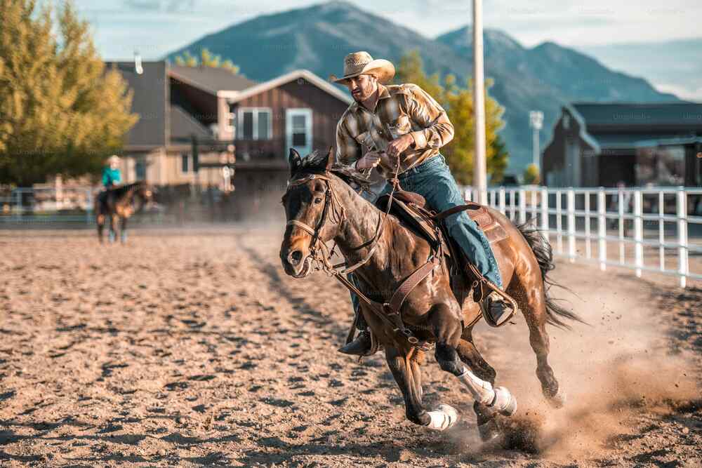 AI rides into the arena: how code is reimagining rodeo