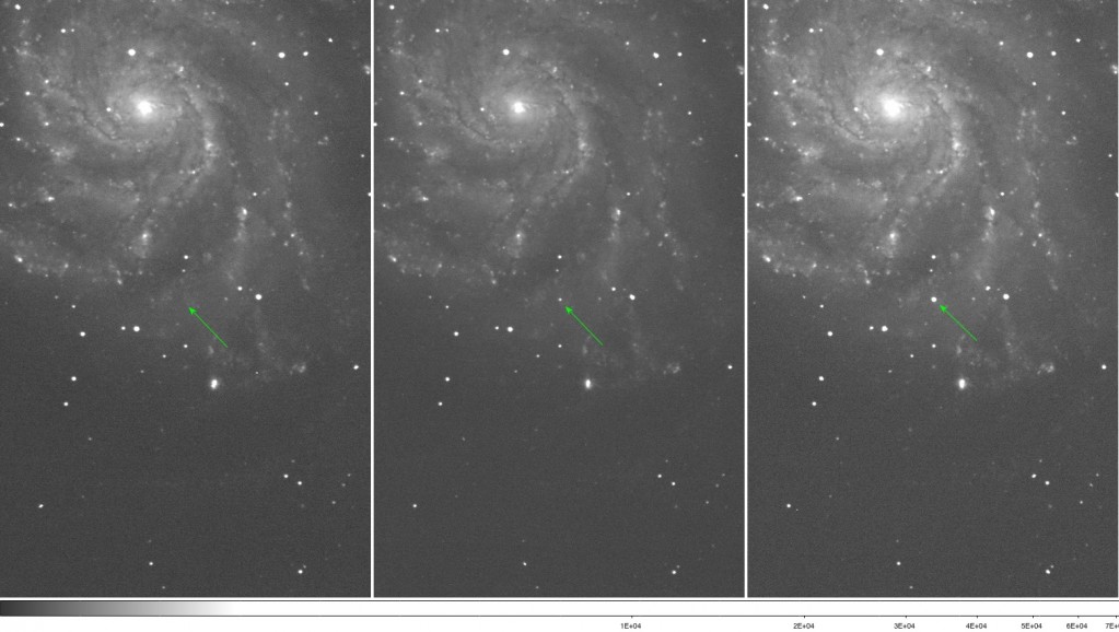 These images show Type Ia supernova PTF 11kly, the youngest ever detected—over the past three nights. The left image taken on August 22 shows the event before it exploded supernova, approximately 1 million times fainter than the human eye can detect. The center image taken on August 23 shows the supernova at about 10,000 times fainter than the human eye can detect. The right image taken on August 24 shows that the event is 6 times brighter than the previous day. In two weeks time it should be visible with a good pair of binoculars.