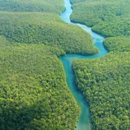 British researchers' modeling unravels the enigma of the Amazon's biodiversity