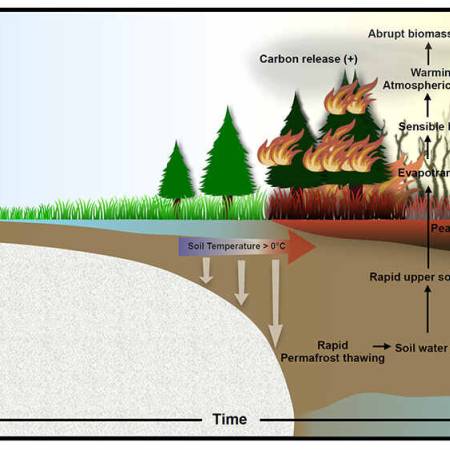 IBS supercomputer Aleph shows abrupt intensification of northern wildfires due to future permafrost thawing