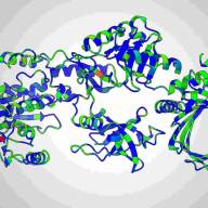 Artificial intelligence transforms biomedical science with groundbreaking protein discoveries