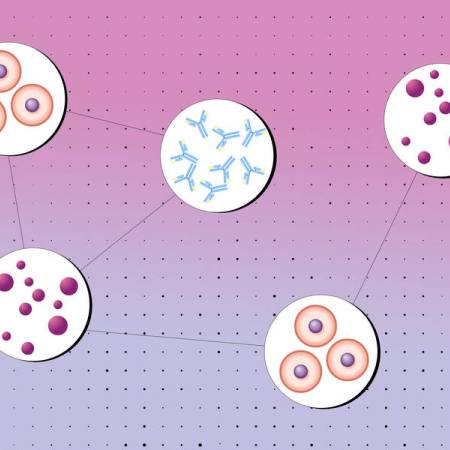 A new method for modeling complex biological systems: Is it a real breakthrough or hype?