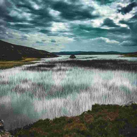 Breaking barriers: AI sheds light on the impact of pollutants in England's lakes